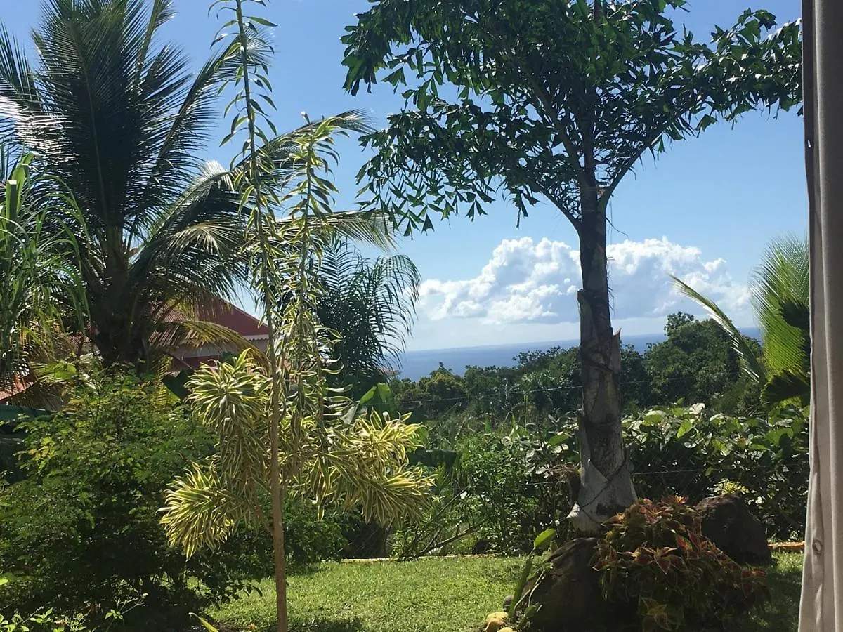 Villa A Rabica - Extrait De Cafe Pointe-Noire Gwadelupa