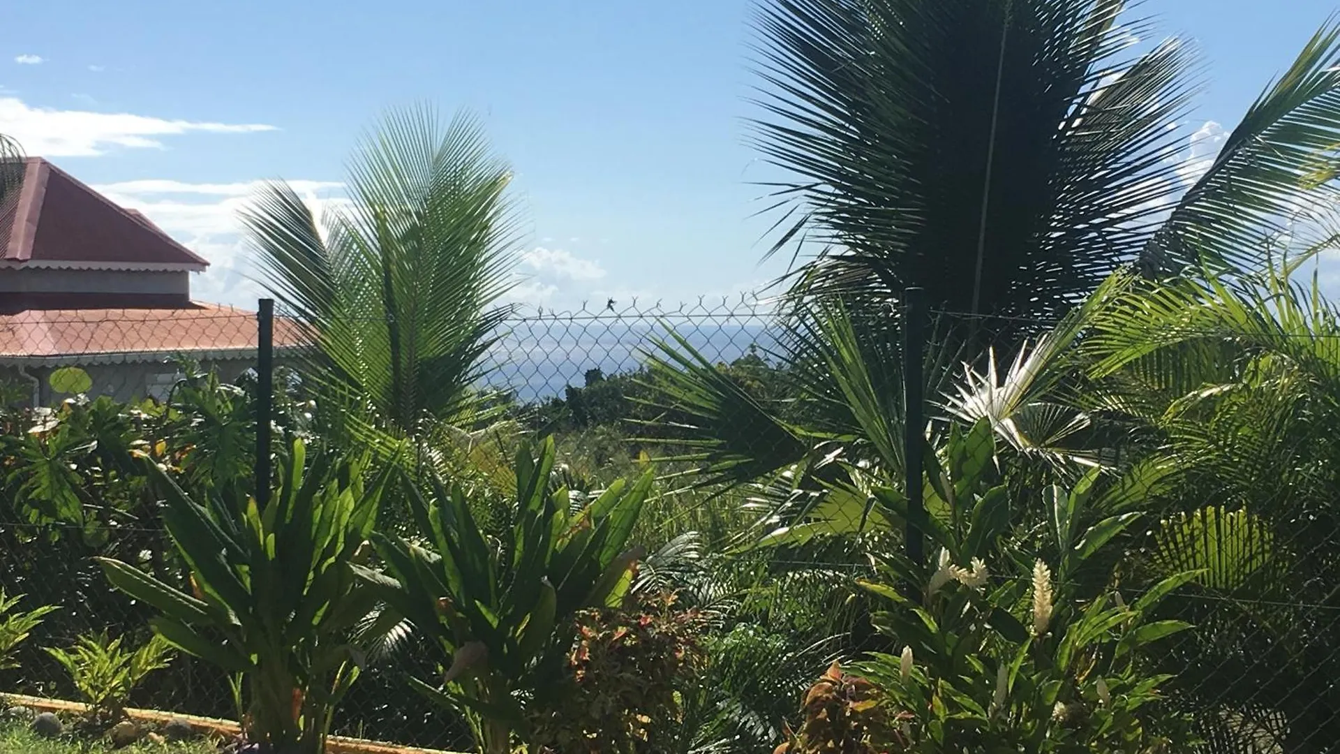 Villa A Rabica - Extrait De Cafe Pointe-Noire 0*,  Gwadelupa