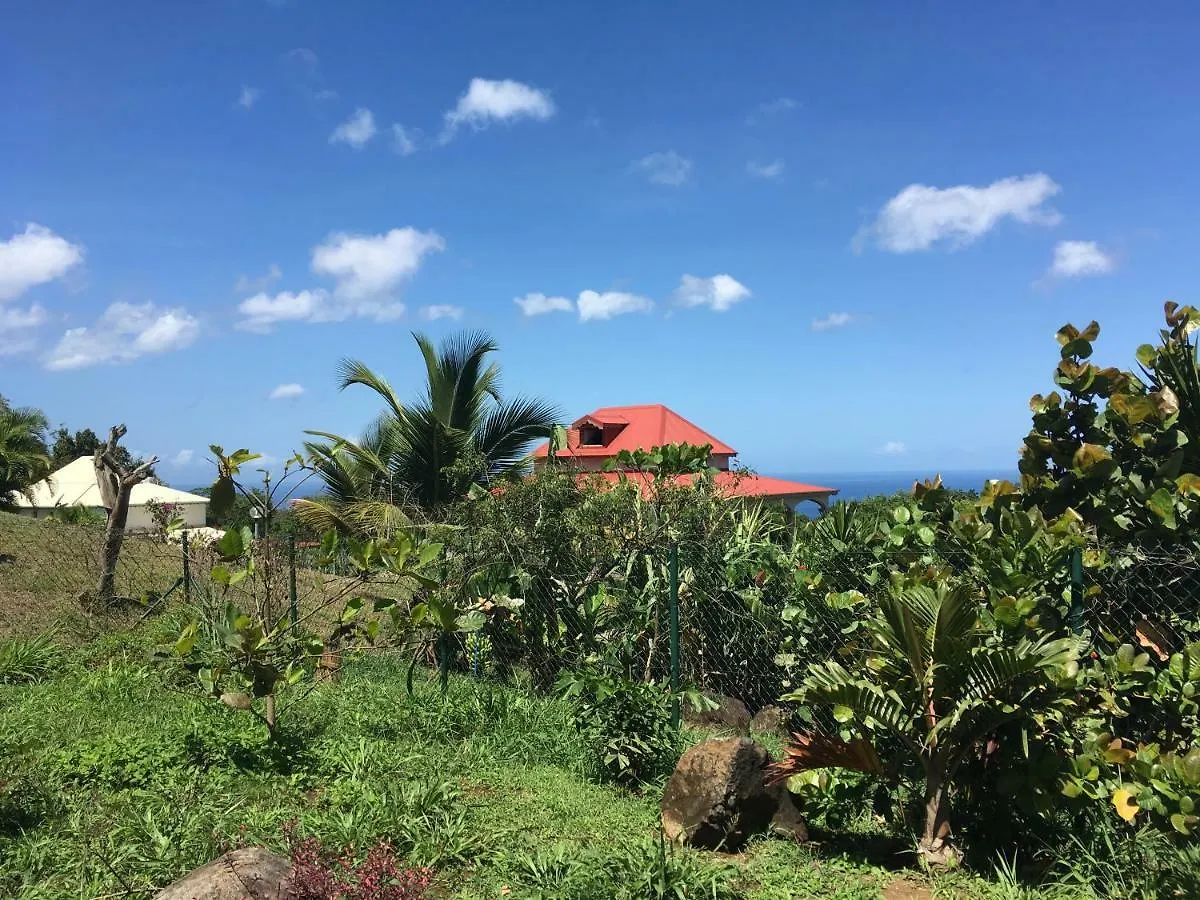 Villa A Rabica - Extrait De Cafe Pointe-Noire 0*,  Gwadelupa