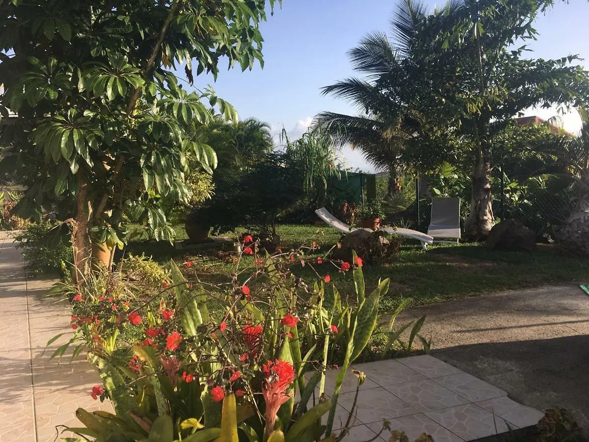 Villa A Rabica - Extrait De Cafe Pointe-Noire Dom wakacyjny